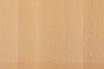 light brown tree wood wallpaper structure texture background pattern