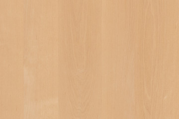 light brown tree wood wallpaper structure texture background pattern