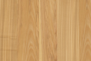 light brown tree wood wallpaper structure texture background pattern