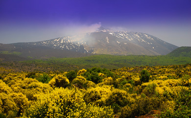 Fototapeta premium mount Etna in Sicily