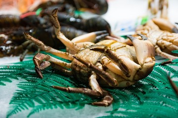 Fresh seafood crab on display