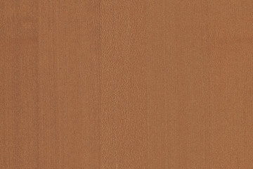 light brown tree wood wallpaper structure texture background pattern