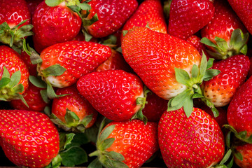 Fresh sweet strawberries close up view
