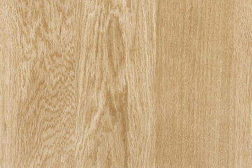 light brown tree wood wallpaper structure texture background pattern