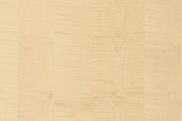 light brown tree wood wallpaper structure texture background pattern