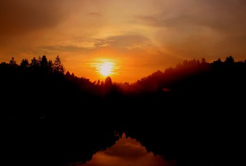 the sun sets over the trees