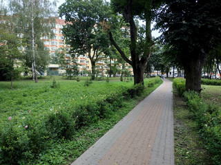 path in the park