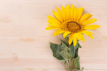 Several beautiful yellow sunflowers with a leaf on a natural wooden background