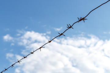 Barbed wire against the sky