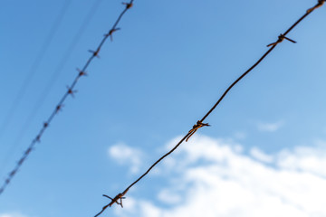 Barbed wire against the sky