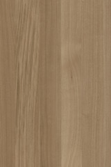 oak wood wallpaper backdrop structure texture background