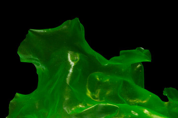 Ulva rigida, sea lettuce isolated on black background.