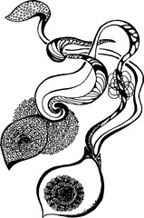 Black white illustration of a flower and psychedelic plants.