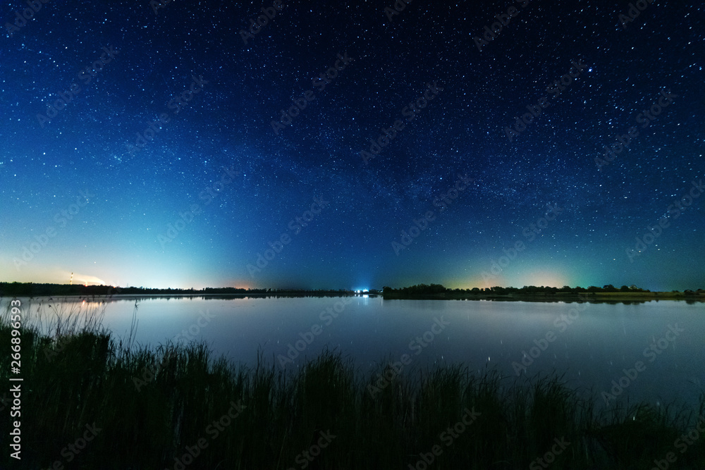 Wall mural magic starry night with the galaxy milky way near the river with a large tree.