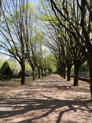 Chambéry - parc du Château
