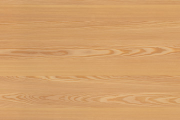 pine tree timber wood surface wallpaper structure texture background