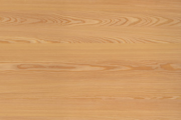 pine tree timber wood surface wallpaper structure texture background