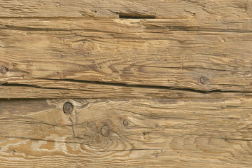 pine tree timber wood surface wallpaper structure texture background