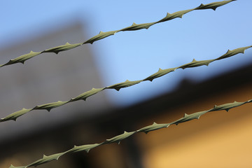Detail of a fence with abstract background.