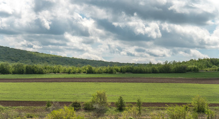 Fototapeta premium landscape with green field and blue sky