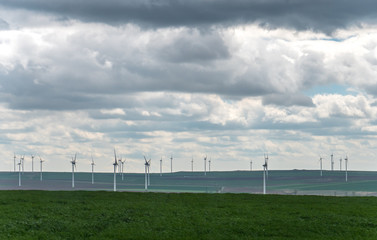 wind turbines in green field