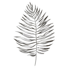 Fototapeta premium Tropical palm leaves illustrations. Jungle leaves isolated on white background.
