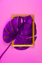 Vibrant bold purple tropical monstera leaf with photo frame on pink background with copy space. Art neon surrealism concept
