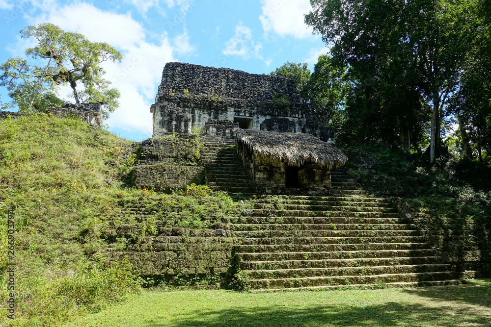 Sticker Guatemala archaeological site of Tikal