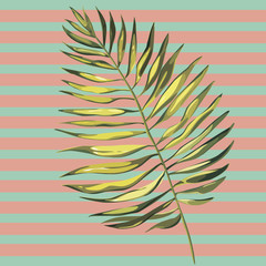 Tropical palm leaves illustrations. Jungle leaves isolated on white background.