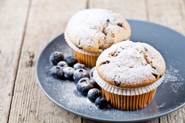 Homemade fresh muffins with sugar powder and blueberries on ceramic plate closeup on rustic wooden table.