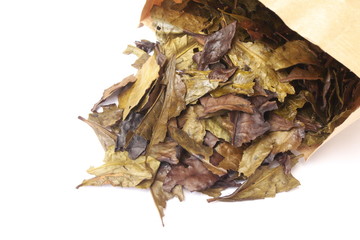 Naklejka premium 番茶