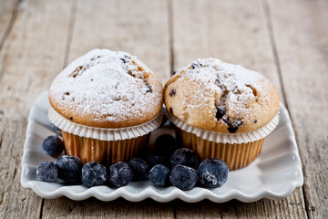 Homemade fresh muffins with sugar powder and blueberries on ceramic plate.