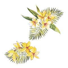 Fototapeta na wymiar Banner, poster with plumeria flowers, jungle leaf. Beautiful floral tropical summer background.