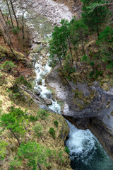 Neuschwanstein castle in Bavaria, Germany. Famous castle Neuschwanstein near Alpsee and Nohenschwangau in Bavarian alps. Bayern (Bavaria), Germany.