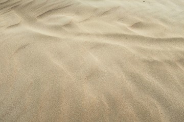 Fototapeta na wymiar Yellow Wavy Sand Dune Desert Beach Coast Surface Natural Texture. 