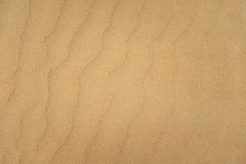 Fototapeta na wymiar Yellow Wavy Sand Dune Desert Beach Coast Surface Natural Texture. 