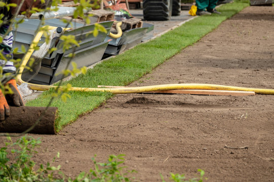 rolled turf is laid on a company site