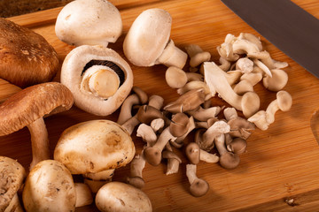Various types of mushrooms on a wooden table