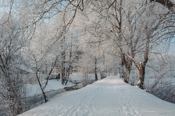 Footpath in the winter park. Winter trees covered with frost. Latvia. Baltic.