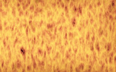 Abstract Fire Background with Flames. Wall of Fire. 3D illustration