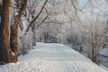 Footpath in the winter park. Winter trees covered with frost. Latvia. Baltic.