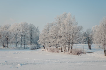Winter panorama of a park under snow at sunny day.