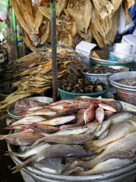 Fischmarkt in La Libertad, El Salvador