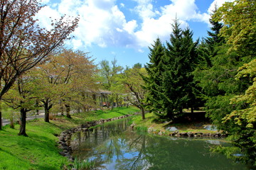 Fototapeta na wymiar 札幌中島公園の春の風景