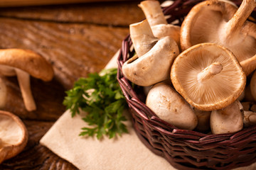 Paris or champignon Mushroom on Wood Background