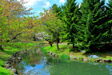 札幌中島公園の春の風景