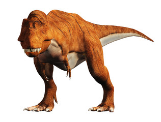 A tyrannosaurus rex stands on a white background. The most popular carnivorous dinosaur, this predator lived during the Cretaceous period. 3D Rendering.