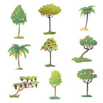 Set of fruit trees with fruits. Vector illustration on white background.
