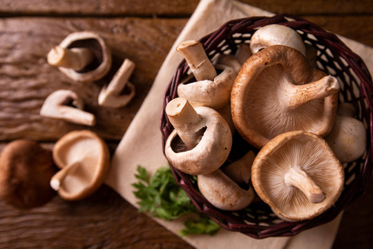 Various types of mushrooms on a wooden table