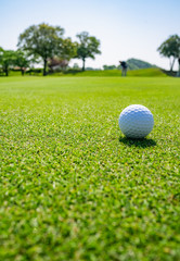 ゴルフ場 グリーン ゴルフボール